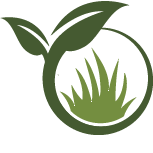 Tree Cabling and Bracing Service