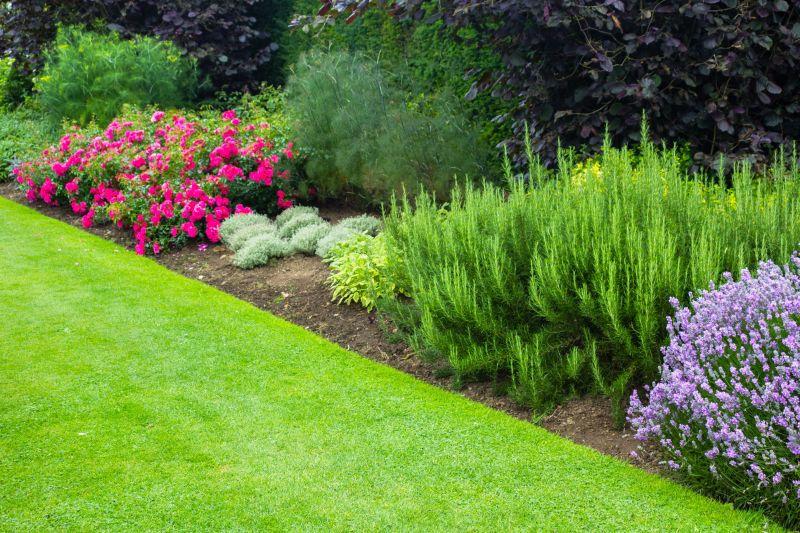 Small Garden Landscaping in Honolulu, HI